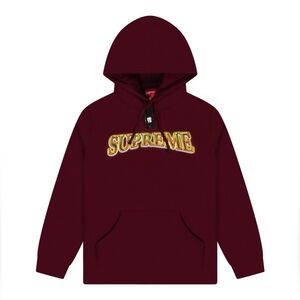 Supreme Metalli Arc Hooded Sweatshirt *FW16*